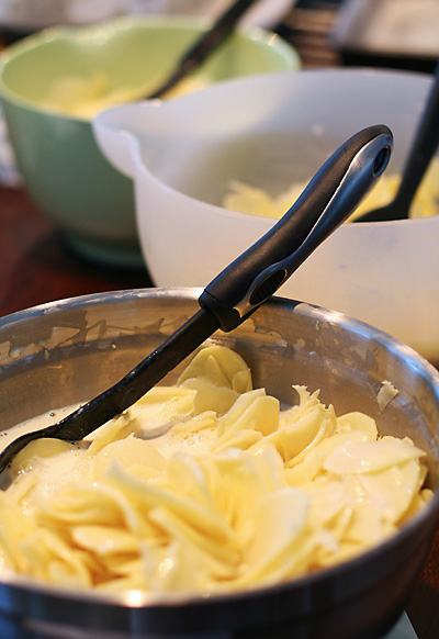 Potatispaté med Västerbottensost